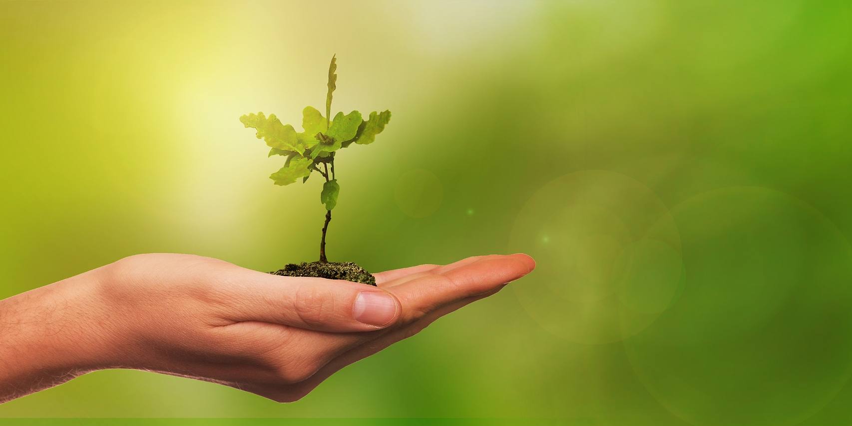 ISO 14001
